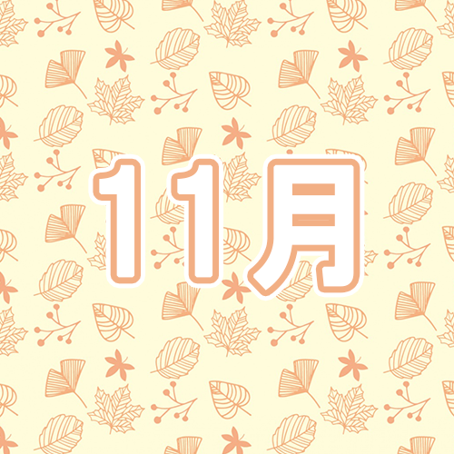 11月