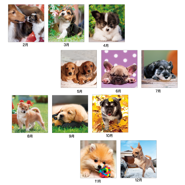 2024年壁掛けカレンダー THE DOGS(ザ・ドッグ)｜ノベルティ・記念品の名入れ制作なら販促スタイル