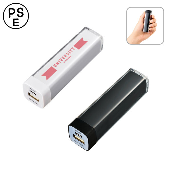 [PSE取得]　カスタムデザインチャージャー2200